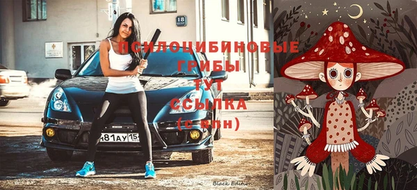 мяу мяу мука Медвежьегорск