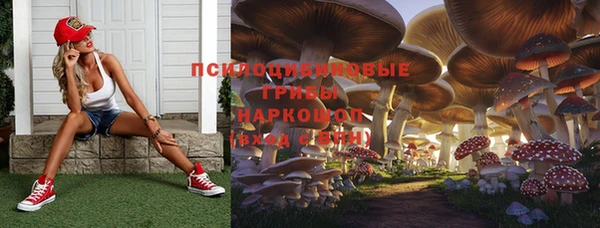 mix Мегион
