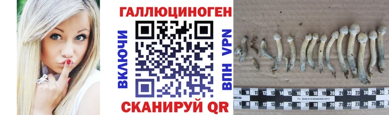 Псилоцибиновые грибы прущие грибы  купить  сайты  Маркс 